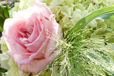 Blumenarrangements - Wir beraten Sie kompetent und liefern Ihnen Blumensträuße für jede Gelegenheit.